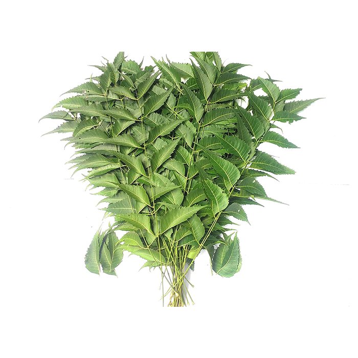 Neem 70 Gm