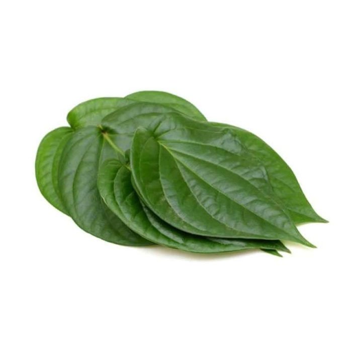 Pan Betel Leaves 10 Ct