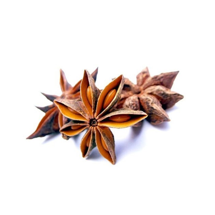 Gazab - Star Anise 100 Gm Badiyan